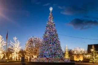 Christmas in Birmingham, Michigan: Your Complete Guide to Holiday Fun
