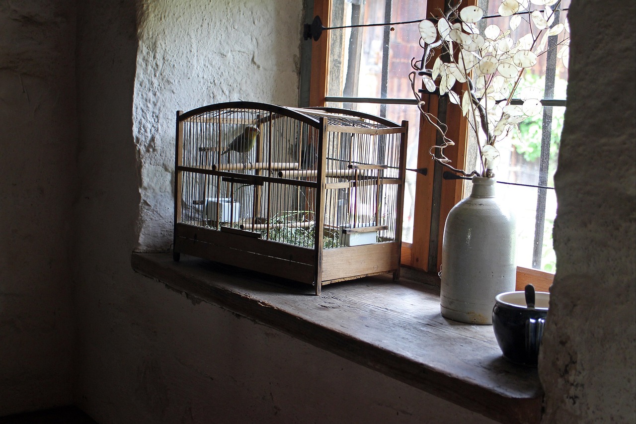 Cages