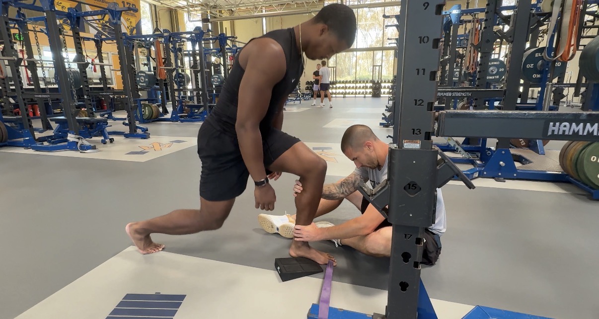 Foundations for Observing the Foot and the Ankle
