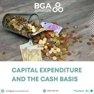 Capital expenditure and the cash basis