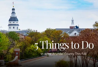 🍁 5 Things to Do in Anne Arundel County This Fall