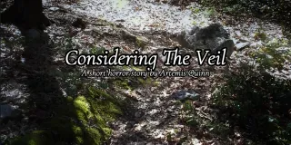 Considering The Veil