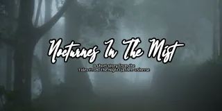 Nocturnes In The Mist