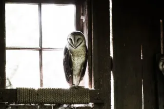 Drop the Shackles of Selling Your TIME on the Path of Mastery