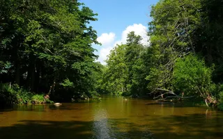Plan Your Tennessee Travels With Confidence: Rent a Car in Murfreesboro, TN
