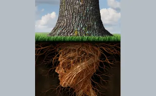 Are you solving problems, or treating symptoms?