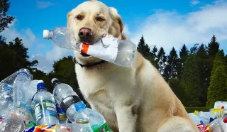 Do You Know Heat Stroke?