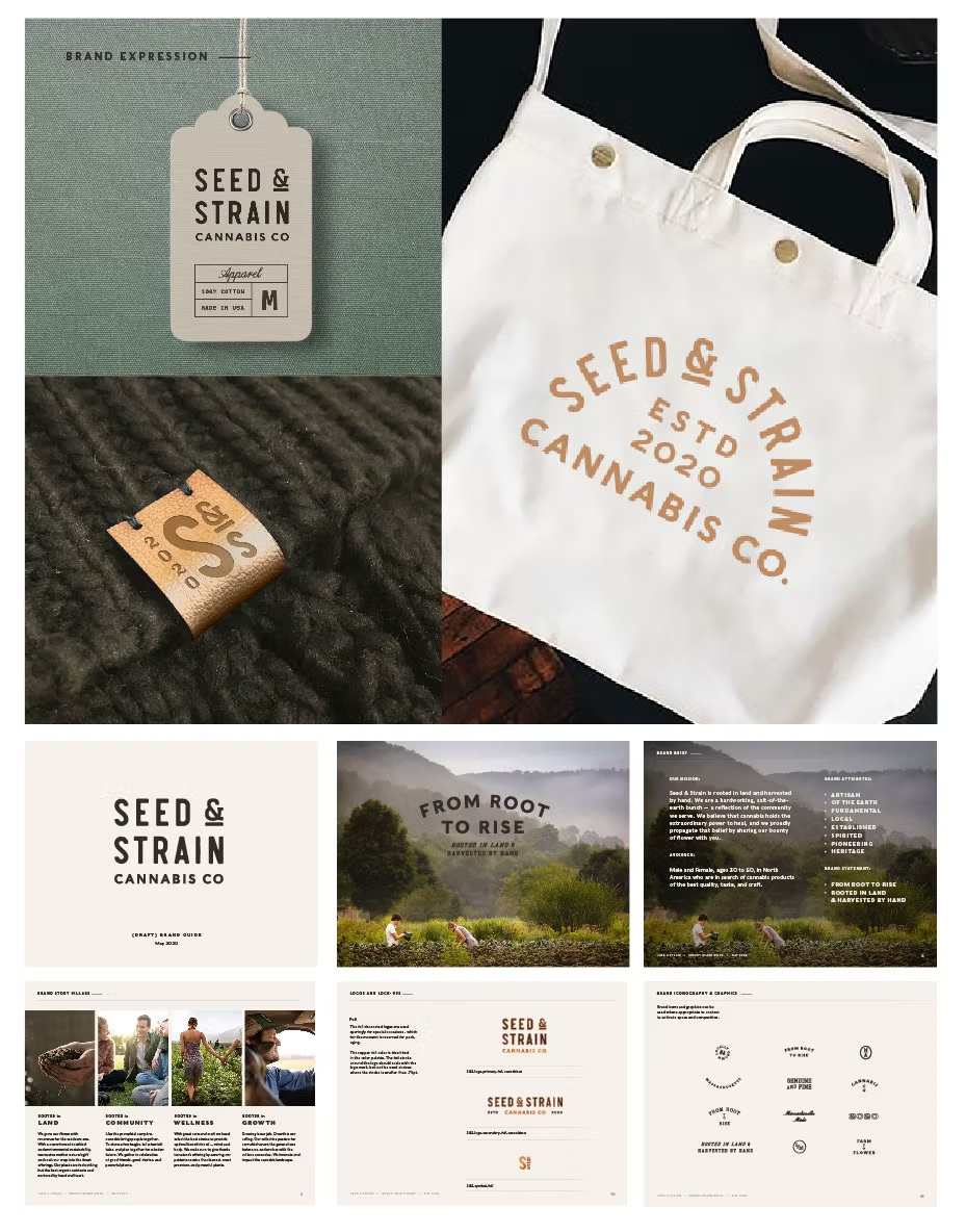 Cannabis Brand Design from the Ground Up: Our Process