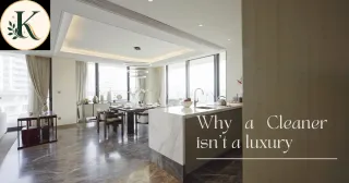 Why You Would Need A Cleaner