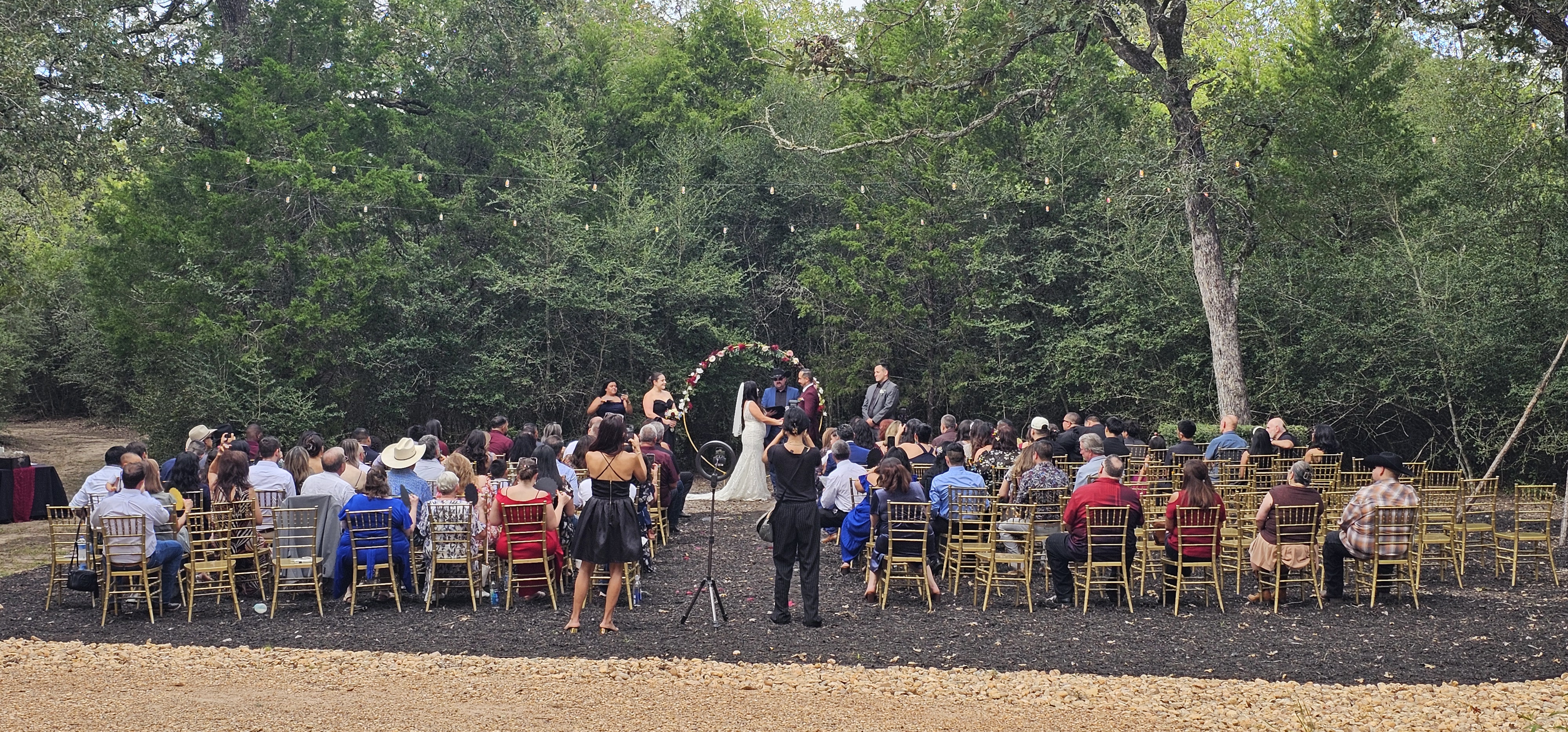A Love Story Forever Begins Under the Pine Tree At Bastrop, Texas