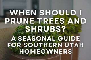 When Should I Prune Trees and Shrubs? A Seasonal Guide for Southern Utah Homeowners