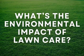 What’s the Environmental Impact of Lawn Care?