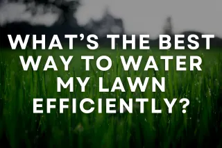 What’s the Best Way to Water My Lawn Efficiently?