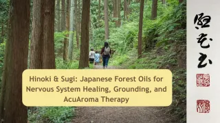 Hinoki & Sugi: Japanese Forest Oils for Nervous System Healing, Grounding, and AcuAroma Therapy