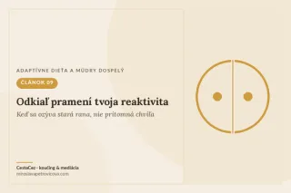 Odkiaľ pramení reaktivita