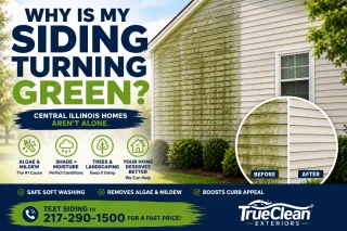 Why Is My Siding Turning Green? | Central Illinois House Washing