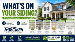 Dirt, Mold, Mildew, or Algae on Siding? How to Tell the Difference