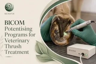 BICOM Potentising Programs for Veterinary Thrush Treatment