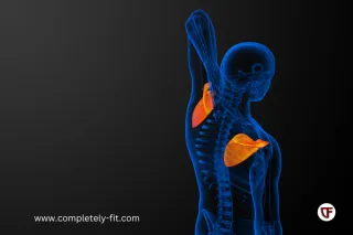 Scapular Movement and Shoulder Pain