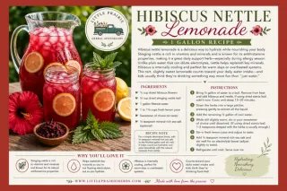 🌺 Hibiscus Nettle Lemonade 🌺