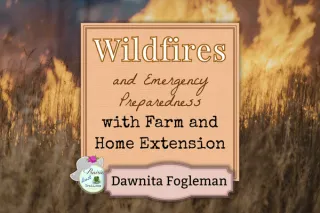 Wildfires and Emergency Preparedness with Farm and Home Extension
