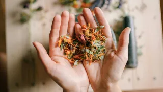“Green Noise” and Tonic Herbs: A Daily Herbal Practice for Nervous System Support