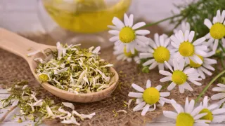 What Are Body Energetics and Tissue States?