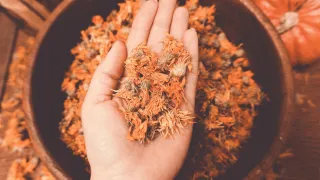 Why Herbalists Don't Just Google the Best Herb