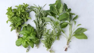 What Happens in an Herbal Consultation (and Why Custom Formulas Matter)