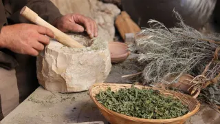 Whole Herb vs. Extract: Why Turmeric Isn’t the Same as Curcumin