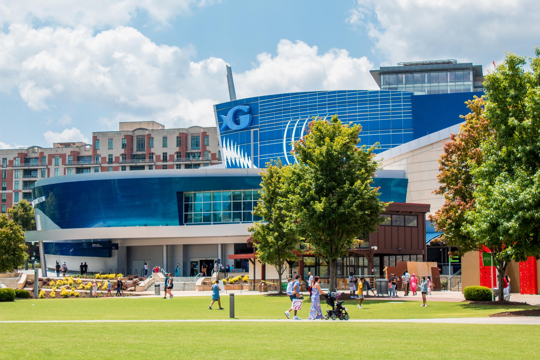 🐠 Dive Into Wonder at Georgia Aquarium: Atlanta’s Massive Underwater Adventure You Absolutely Can’t Miss 🌊