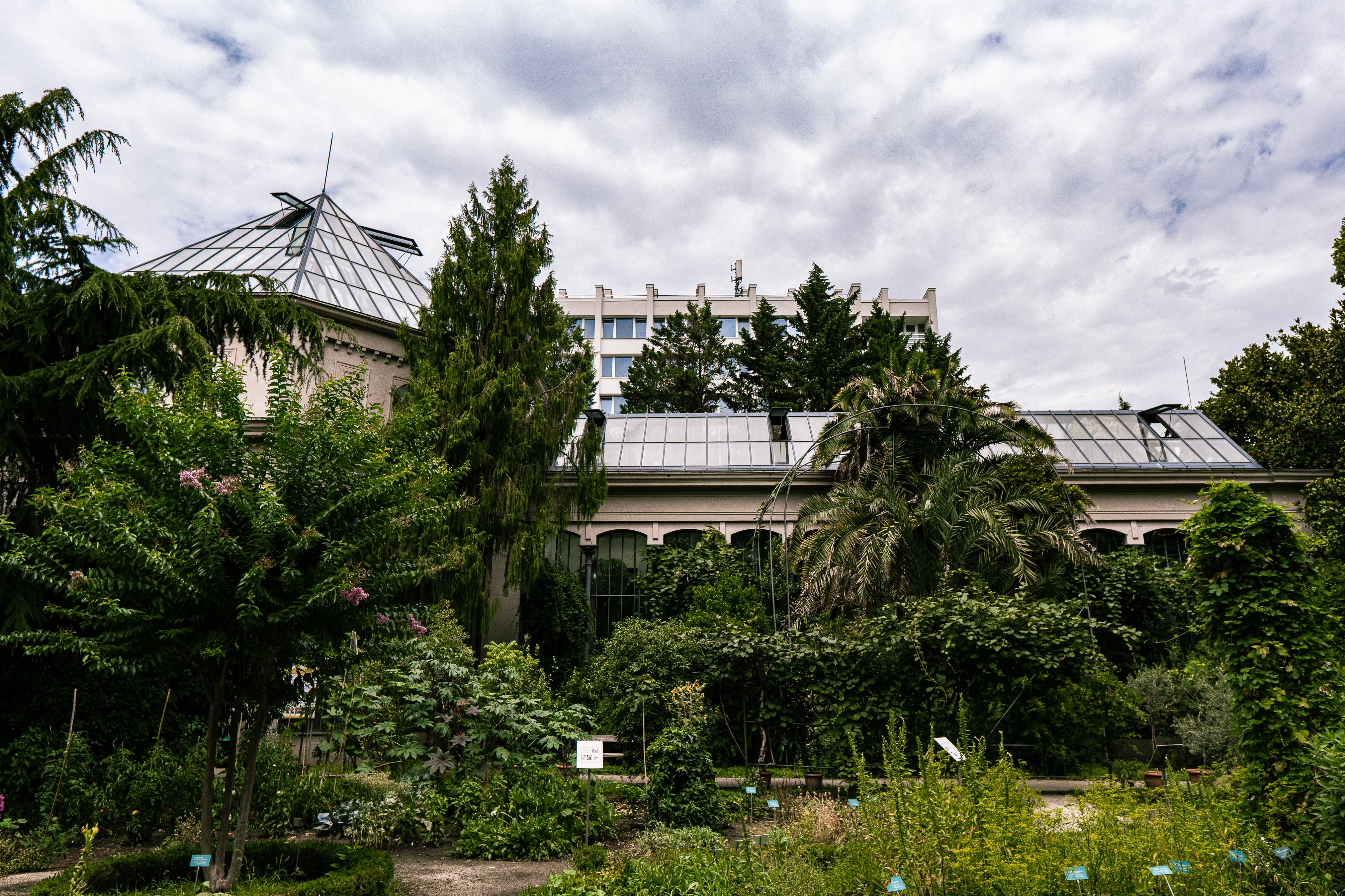 🌺 Atlanta Botanical Garden in Atlanta, GA: A Beautiful Escape Filled with Nature, Events, and Peaceful Moments