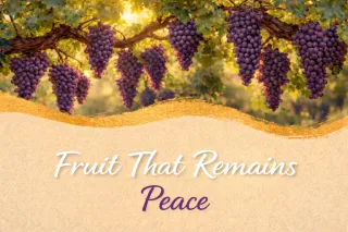 Peace - Fruit That Remains