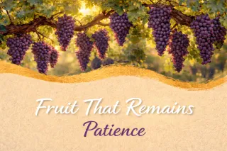 Patience - Fruit That Remains
