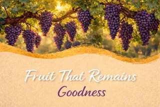 Goodness - Fruit That Remains
