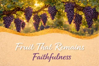 Faithfulness - Fruit That Remains