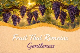 Gentleness - Fruit That Remains