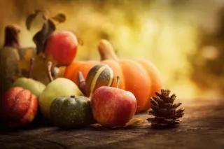 Cozy Soup Weather – Deep Roots Acupuncture