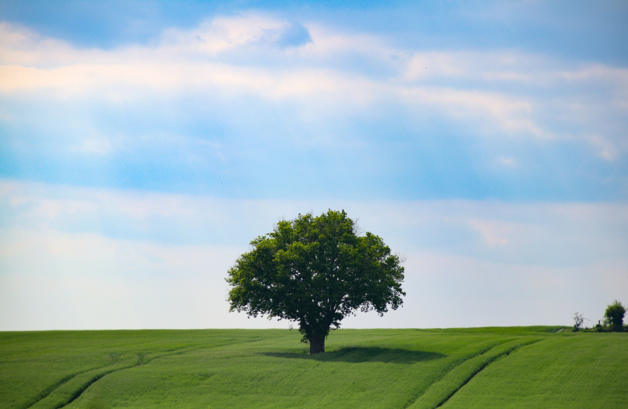 Business vs. Sales: Build a Business, Not Just a Commission Check