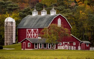 Which Wagon Features Add the Most Value for Farm Use