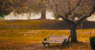 What Grief Asks of Us