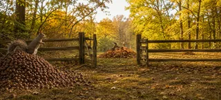 The Boundaries We Build Around Joy