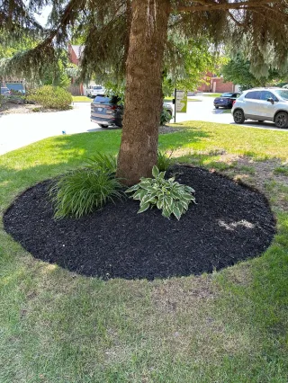 Best Mulch for Landscaping: York Region Guide | Lush Lawncare