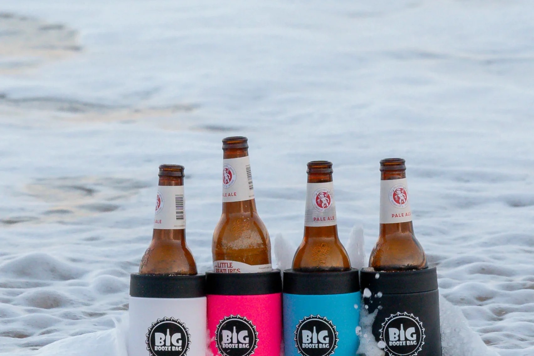 Big Booze Bag Achieved a 3.9x ROAS and Average Cost Per Click (CPC)  $1.73 With Google Ads.