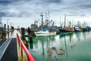 5 Things You HAVE to Do in Steveston Village, Richmond BC