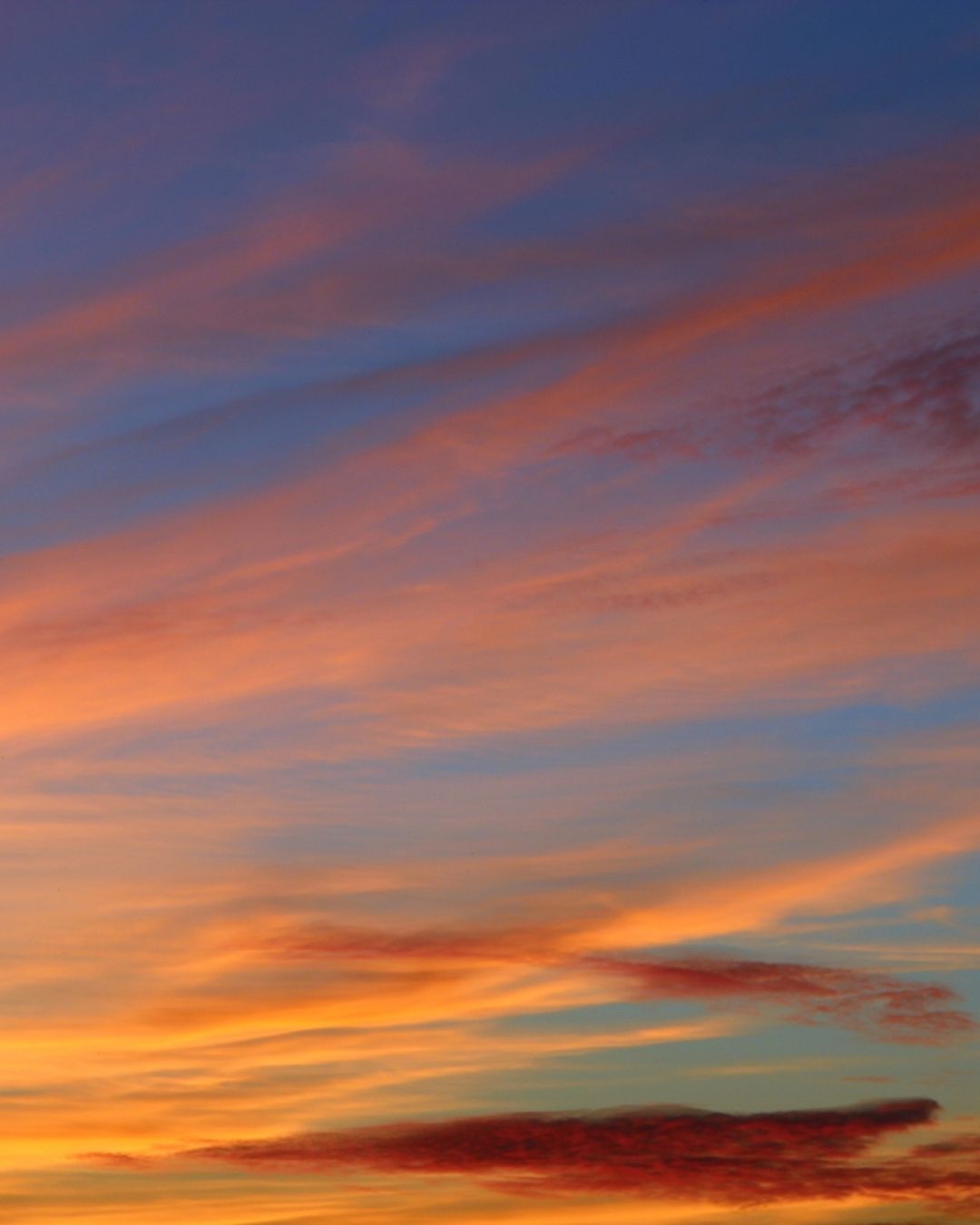 The Connection Between Mind, Body, and Energy in Holistic Well-Being