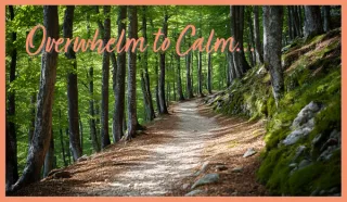 From Overwhelm to Calm