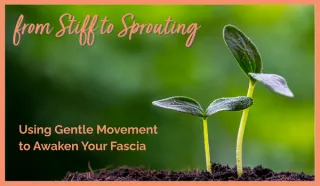From Stiff to Sprouting: Using Gentle Movement to Awaken Your Fascia
