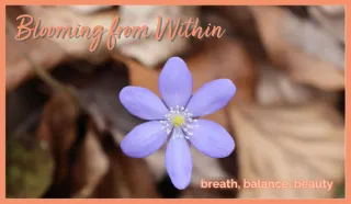 Blooming from Within: Breath, Balance and Beauty
