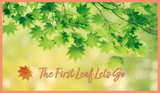 The First Leaf Lets Go